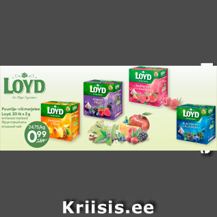 Allahindlus - Puuvilja- või marjatee Loyd, 20 tk x 2 g