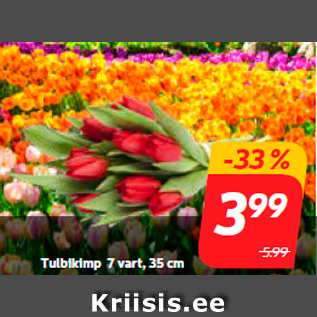 Скидка - Букет тюльпанов 7 стеблей, 35 см