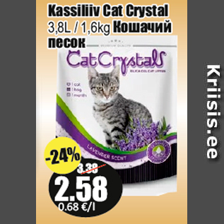 Allahindlus - Kassiliiv Cat Crystal