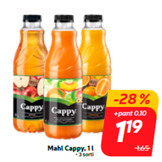 Allahindlus - Mahl Cappy, 1 l