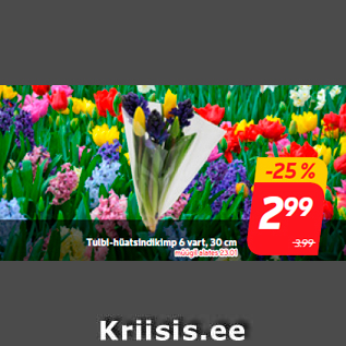 Скидка - Букет тюльпанов и гиацинтов 6 стеблей, 30 см