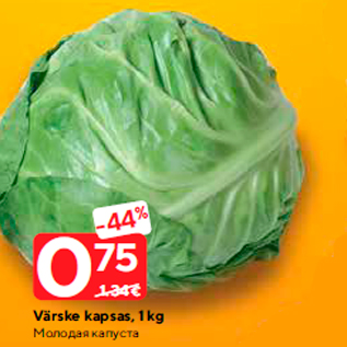 Allahindlus - Värske kapsas, 1 kg