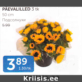 Allahindlus - Päevalilled 3 tk 50 cm