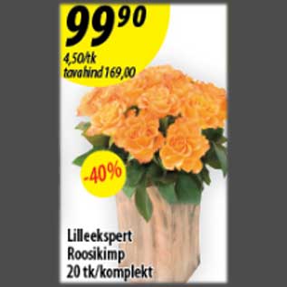 Allahindlus - Lilleekspert Roosikimp