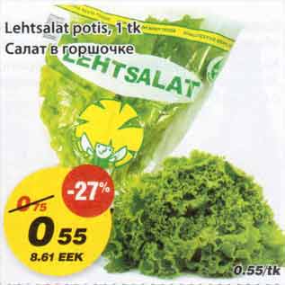 Allahindlus - Lehtsalat potis
