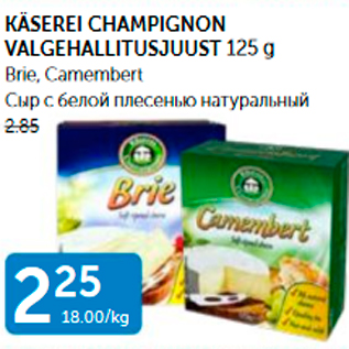 Скидка - СЫР С БЕЛОЙ ПЛЕСЕНЬЮ НАТУРАЛЬНЫЙ