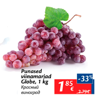 Allahindlus - Punased viinamarjad Globe, 1 kg