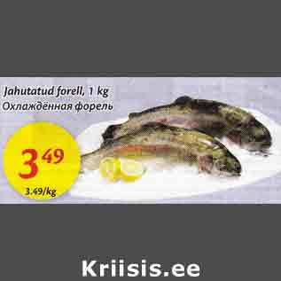 Allahindlus - Jahutatud forell, 1 kg