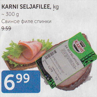 Allahindlus - KARNI SELJAFILEE, KG