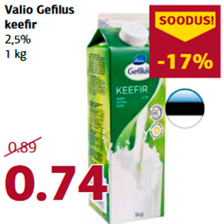 Allahindlus - Valio Gefilus keefir
