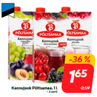 Скидка - Кувшин для напитка Põltsamaa, 1 л