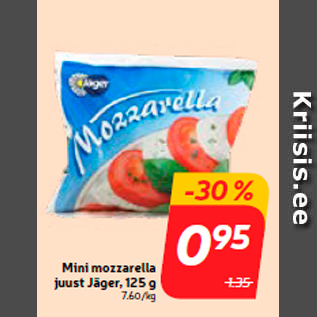 Allahindlus - Mini mozzarella juust Jäger, 125 g