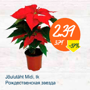 Скидка - Рождественская звезда