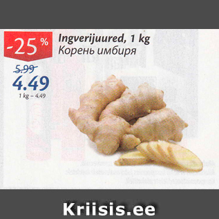 Allahindlus - Ingverijuured, 1 kg