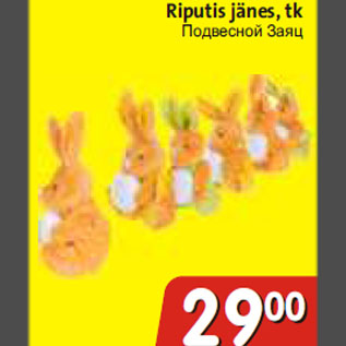 Allahindlus - Riputis jänes