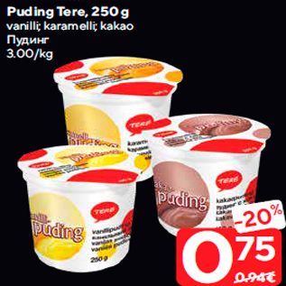 Allahindlus - Puding Tere, 250 g