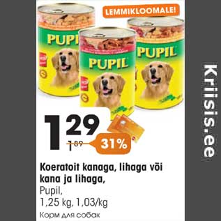Allahindlus - Koeratoit kanaga, lihaga või kana ja lihaga,