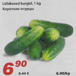 Скидка - Короткие огурцы