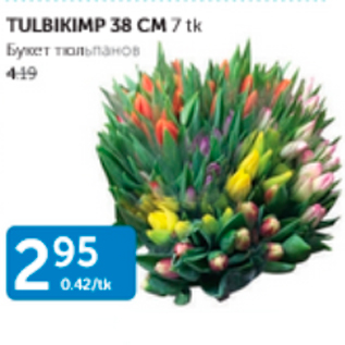 Allahindlus - TULBIKIMP 38 CM 7 TK