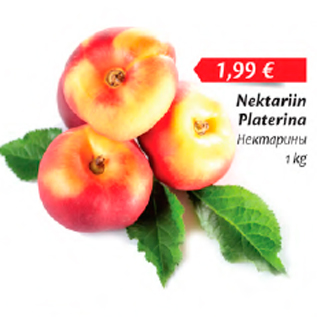 Allahindlus - Nektariin Platerina, 1 kg