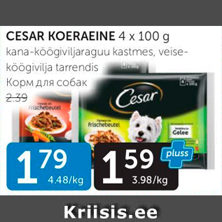 Allahindlus - CESAR KOERAEINE 4 X 100 G