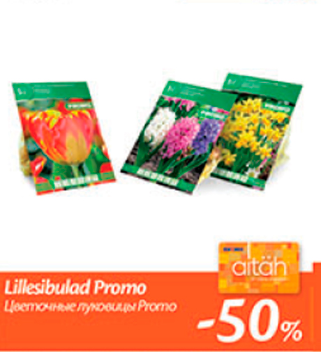 Цветочные луковицы Promo  -50%