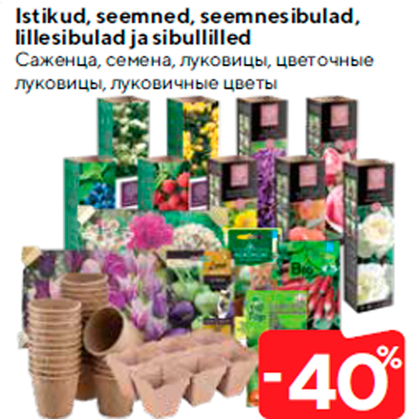 Istikud, seemned, seemnesibulad, lillesibulad ja sibullilled  -40%