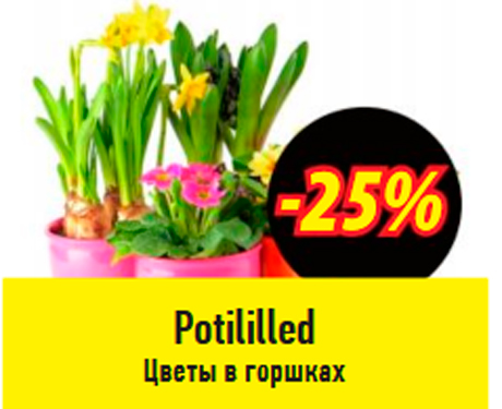 Цветы в горшках  -25%