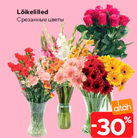 Lõikelilled  -30%