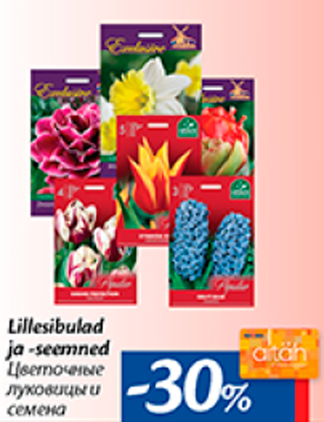 Цветочные луковицы и семена  -30%