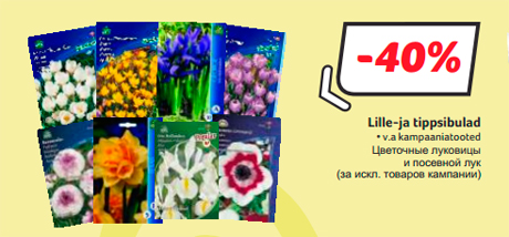 Цветочные луковицы и посевной лук  -40%