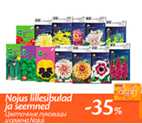 Цветочные луковицы и семена Nojus  -35%