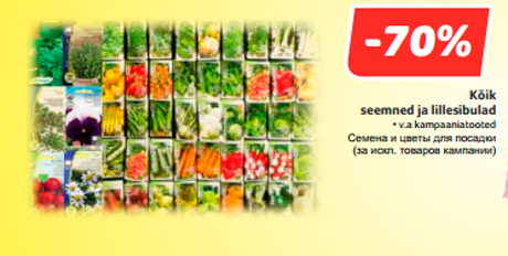 Семена и цветы для посадки  -70%