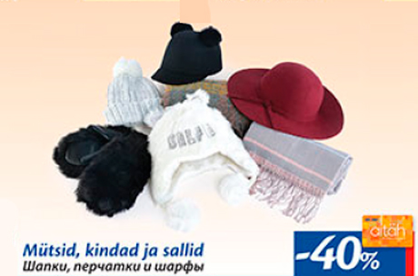 Шапки, перчатки и шарфы  -40%