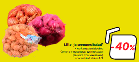 Lille- ja seemnesibulad*  -40%