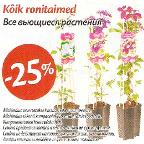 Вьющиеся растения -25%