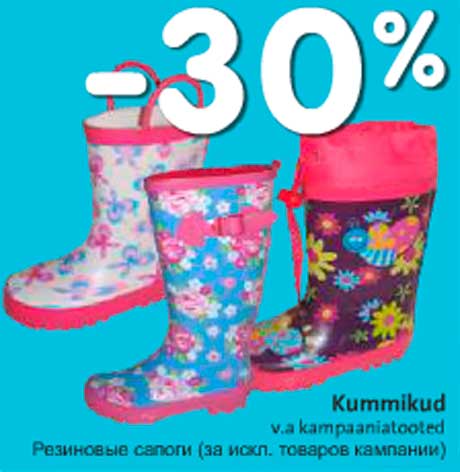 Резиновые сапоги -30%