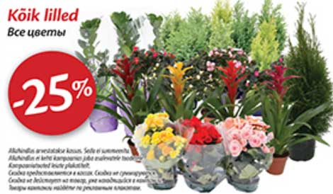 Все цветы -25%