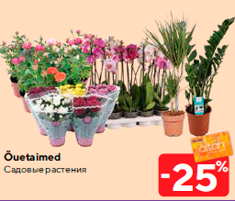 Садовые растения -25%