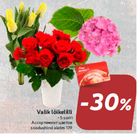 Valik lõikelilli  -30%
