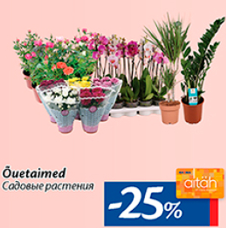 Садовые растения  -25%