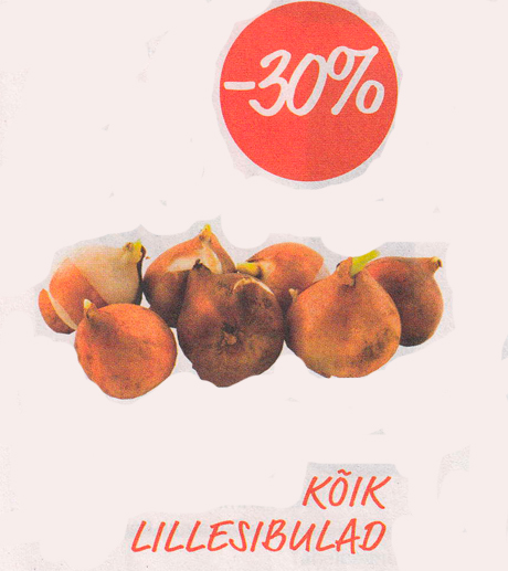 Все цветочные луковицы -30%