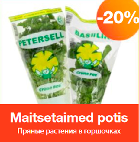 Пряные растения в горшочках  -20%