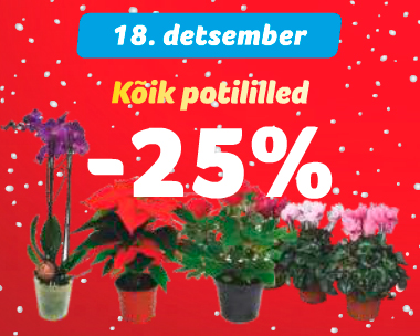 Цветы в горшке -25%