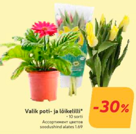 Ассортимент цветов  -30%