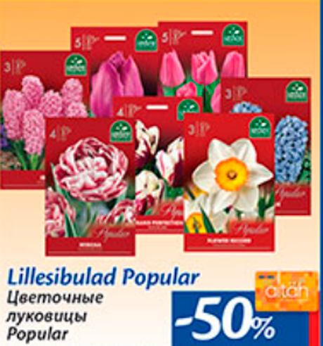 Цветочные луковицы Popular  -50%