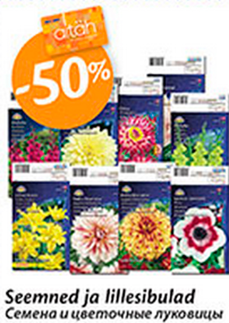 Seemned ja lillesibulad  -50%