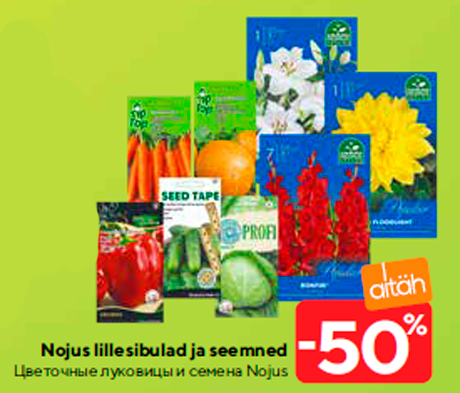 Цветочные луковицы и семена Nojus  -50%