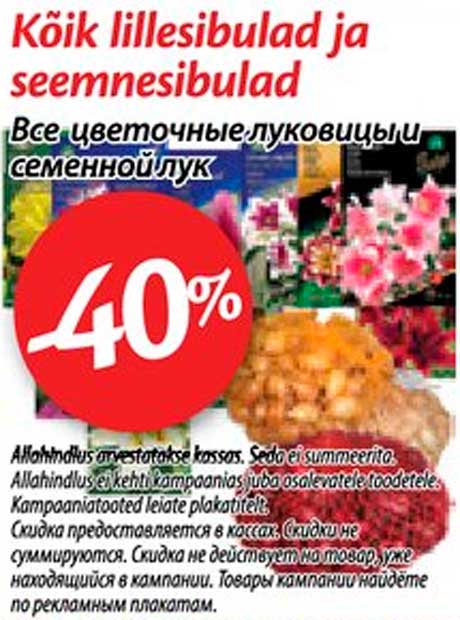 Цветочные луковицы и семенной лук