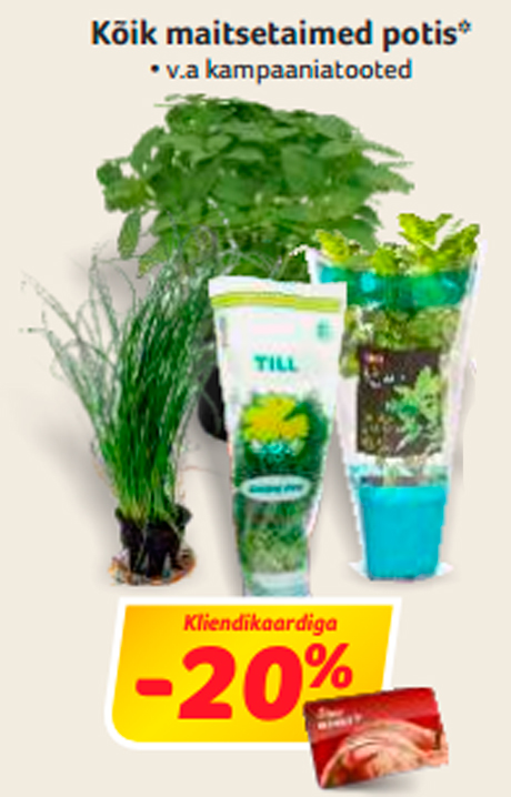 Kõik maitsetaimed potis*  -20%